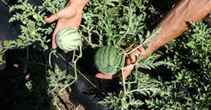 Magazine Publishing Feature Jpg